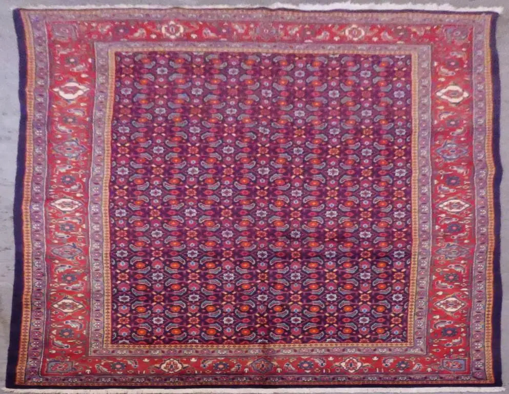 P1110416T Medium 33bdd4ca dde1 4435 ab18 21ed9a5f6237